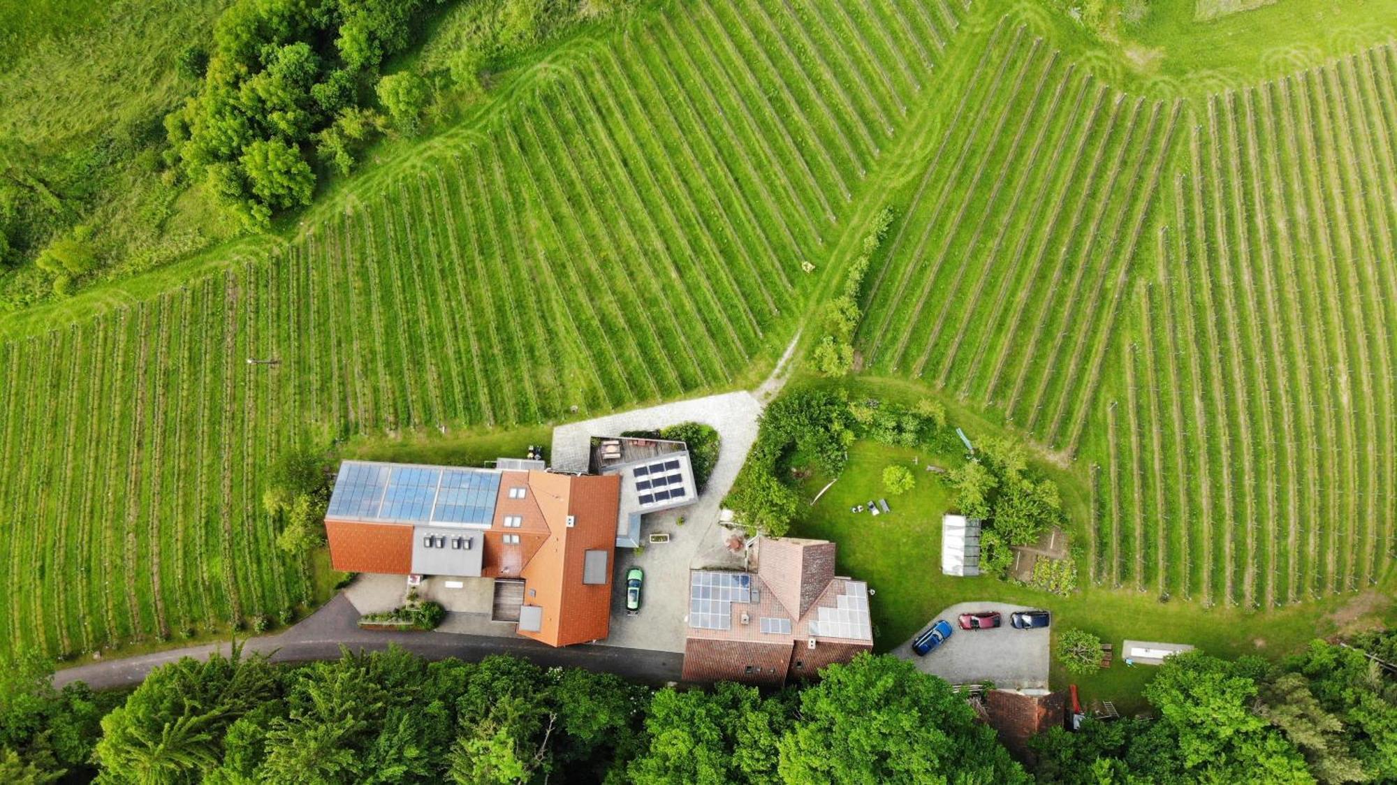 Bed and Breakfast Weingut Spitzypeitler Leutschach Exterior foto